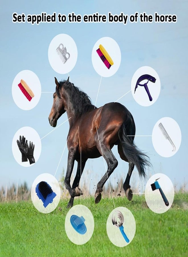 La La Pet® Grooming Kit with Bag - 11Pcs Brush Set for Horse Cleaning, Care and Tack Room Supplies - Image 3